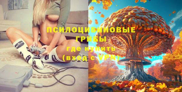первитин Новокубанск