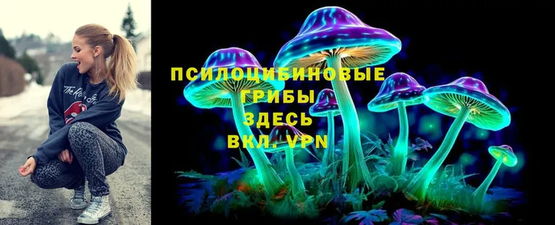 Псилоцибиновые грибы Psilocybe  Катайск 